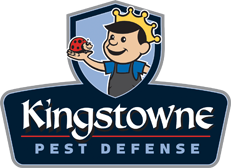 Kingstowne-Pest-1