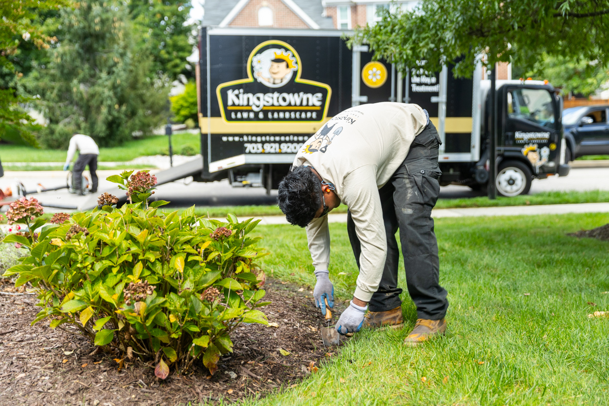 landscape maintenance crew member trimming a nice lawn in northern virginia