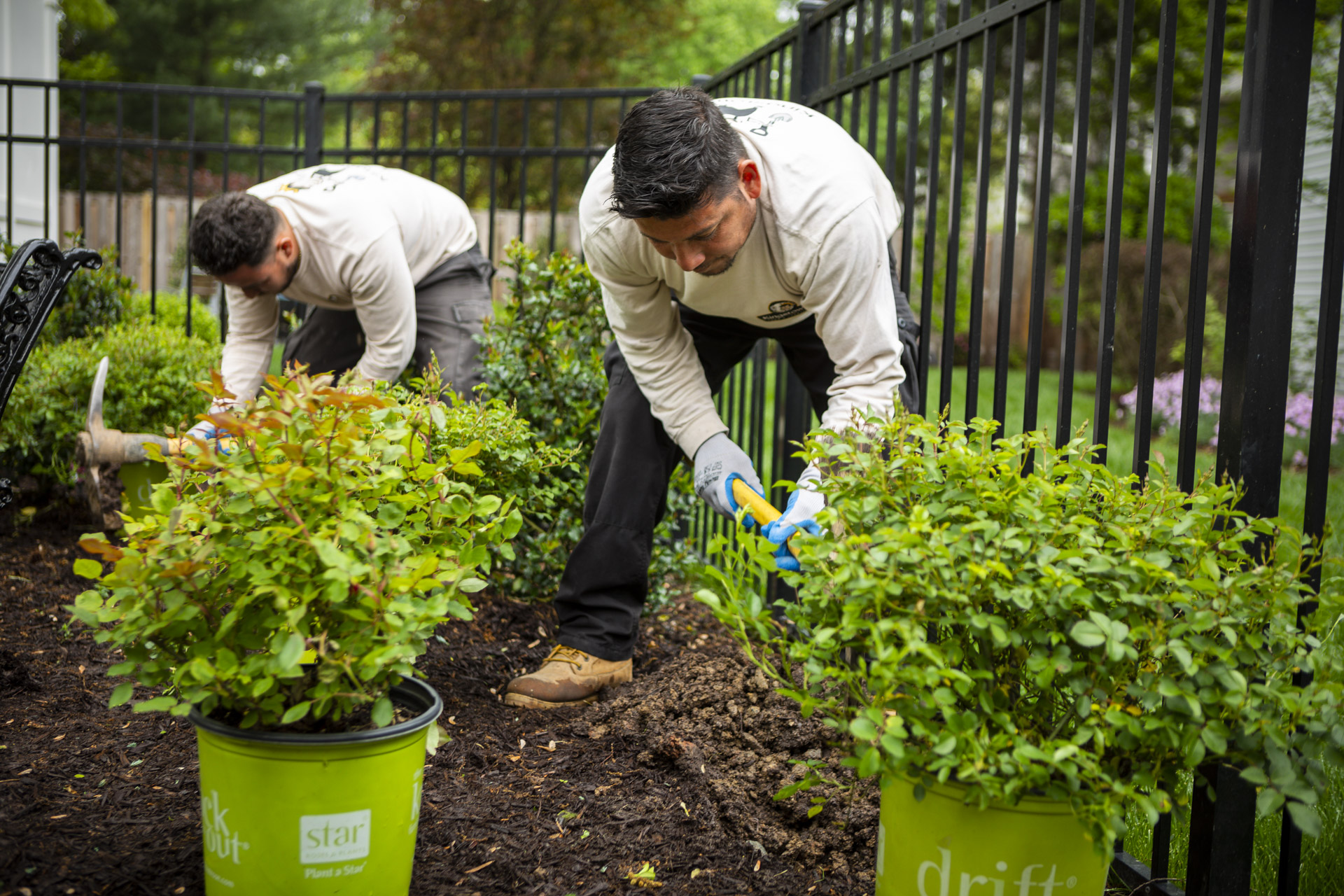 maintenance-planting-containers-installation-5