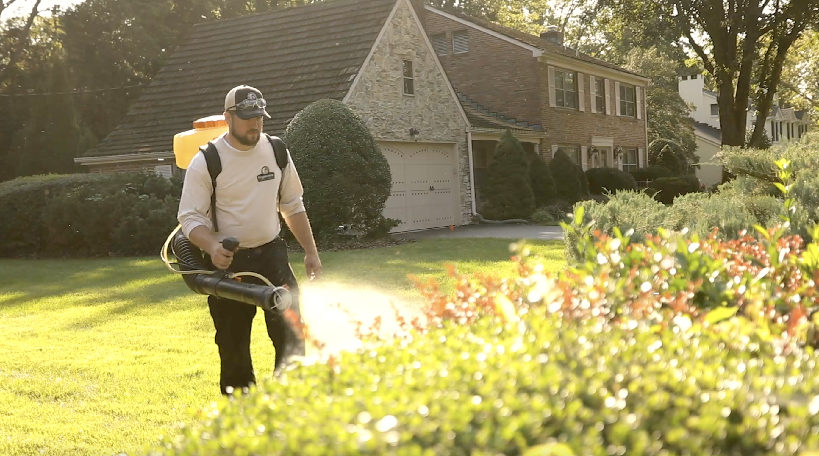 pest control alexandria va