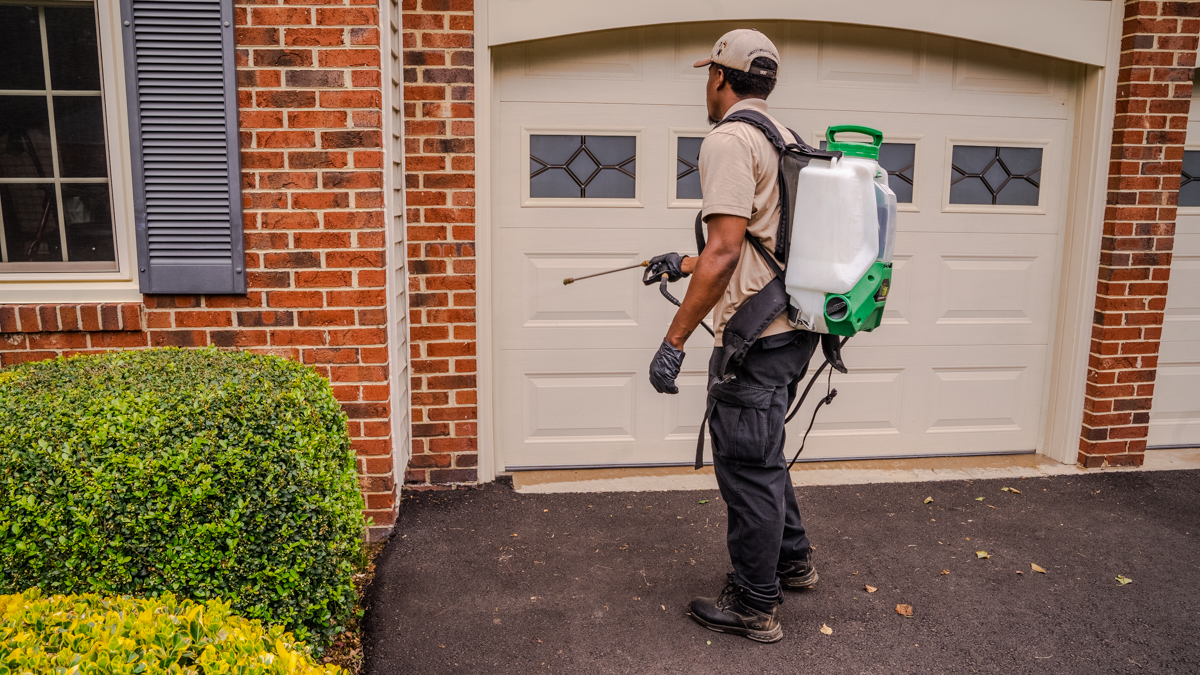 pest control expert sprays near garage