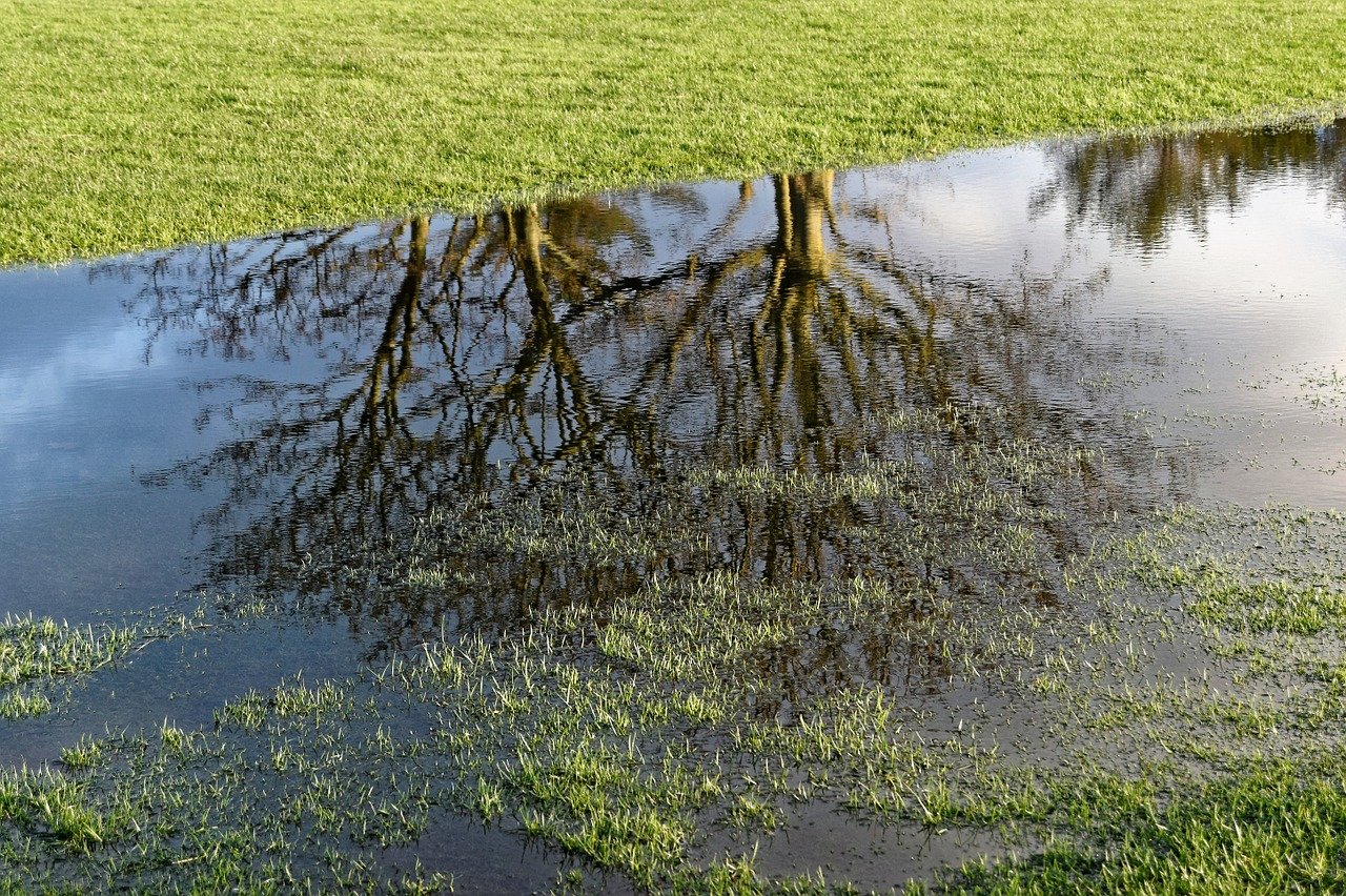 a flooded backyard showing pooled water with trees in reflection